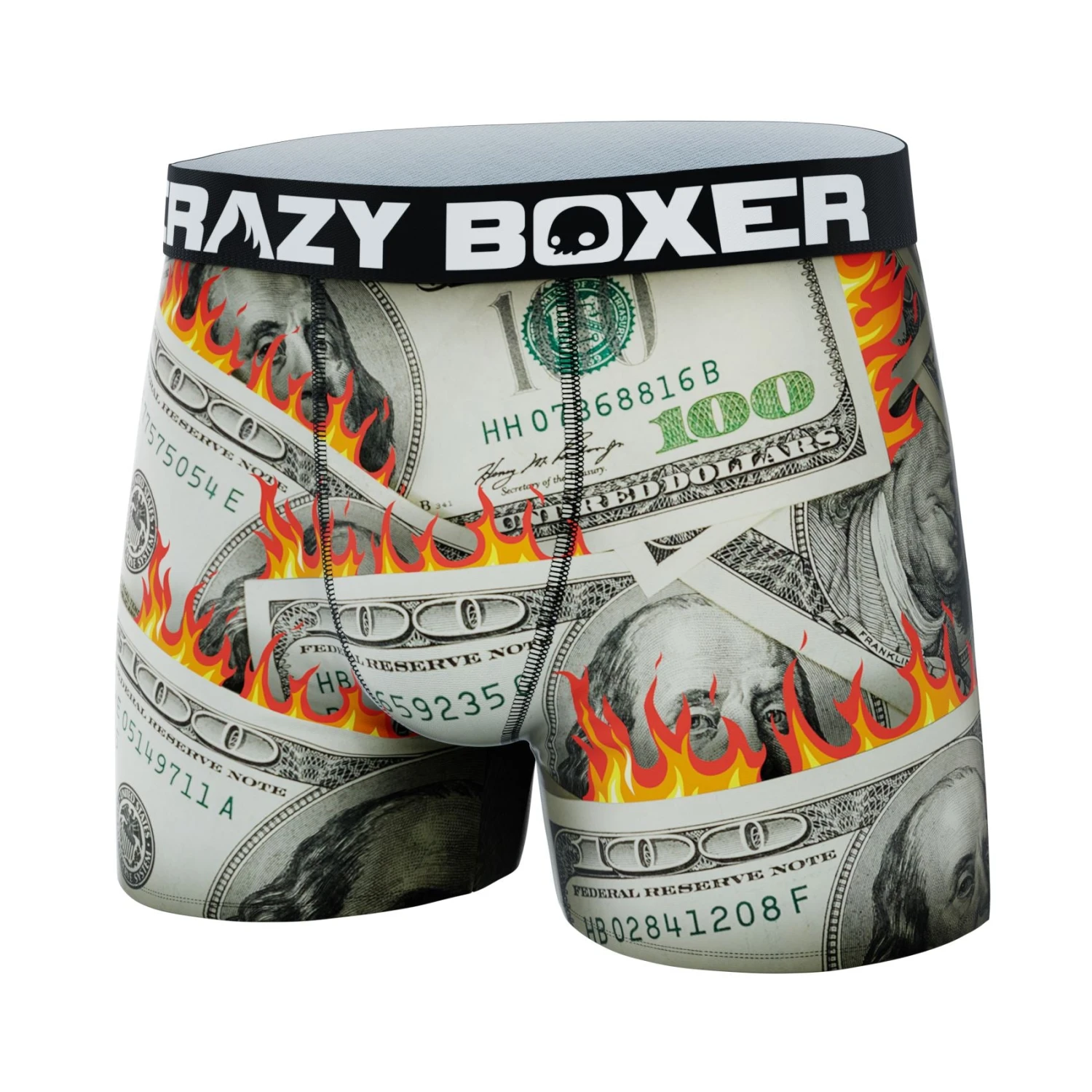 Men's Dollars Boxer Briefs 6 Men's Dollars Boxer Briefs - Image 4