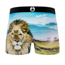 CRAZYBOXER Lion All Star Men's Boxer Briefs -Crazyboxer Sales Store CBALS0101LION 2