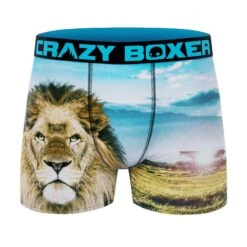 CRAZYBOXER All Star Lion Bear Men's Boxer Briefs (2 Pack) -Crazyboxer Sales Store CBALS0101X2A1 5